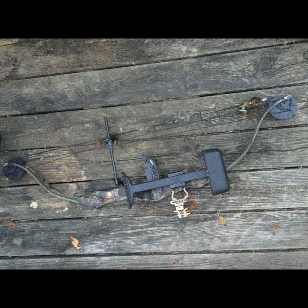 Bear Compound Bow